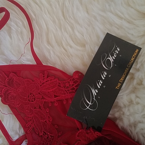 NWT Ooh La La Cheri Red Lace Mesh Gartered Chemise Set - Picture 6 of 8